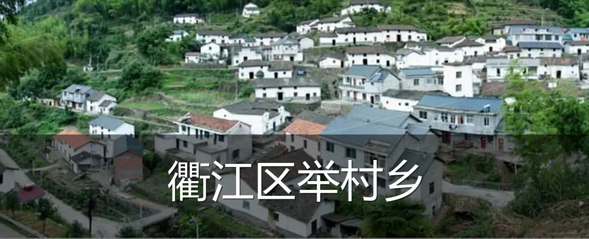衢江区举村乡