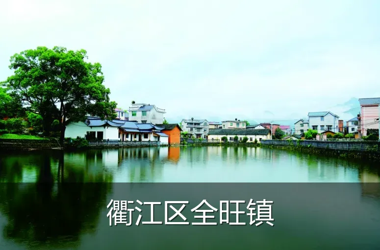 衢江区全旺镇