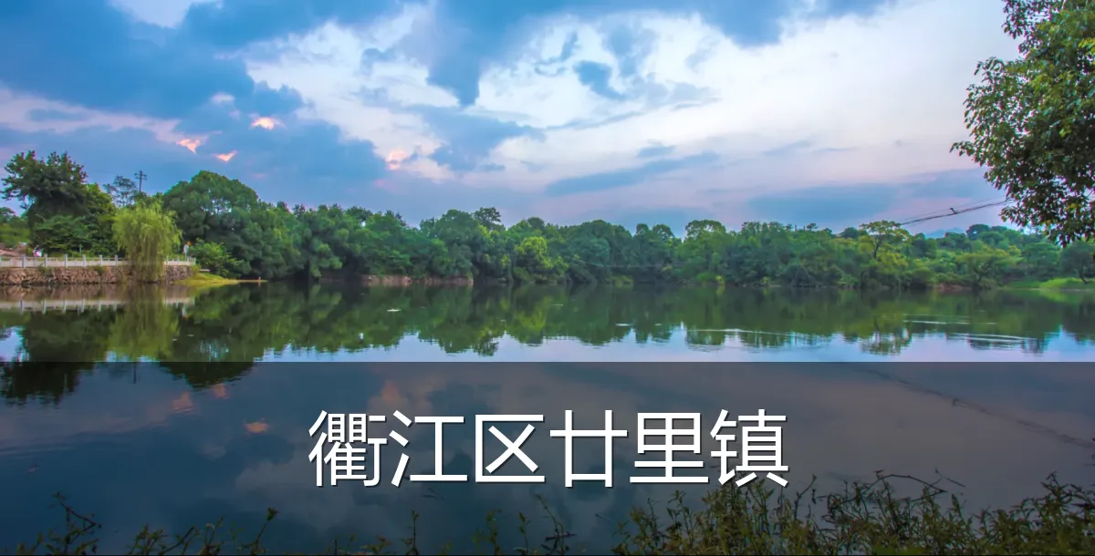 衢江区廿里镇