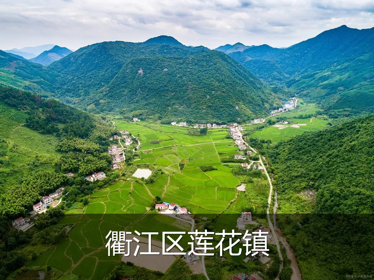 衢江区莲花镇