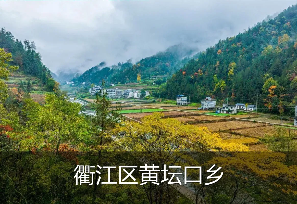 衢江区黄坛口乡