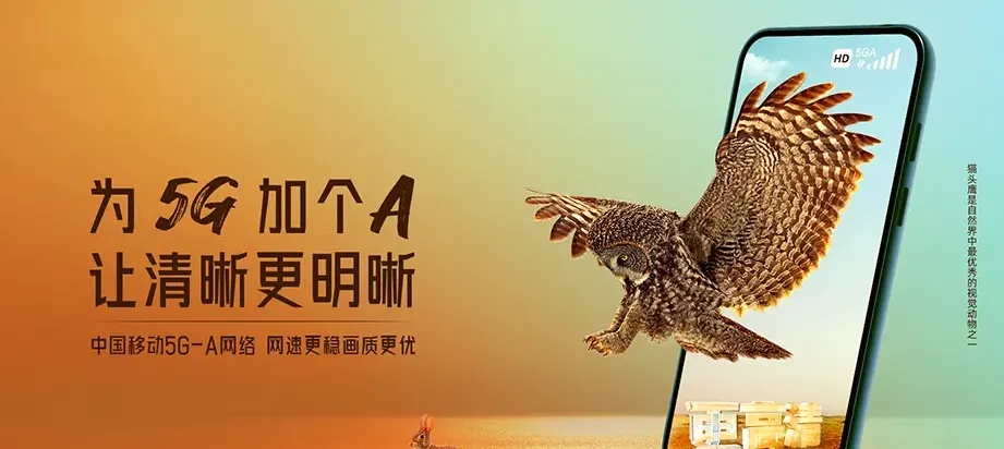衢江区衢江区大洲镇 移动宽带